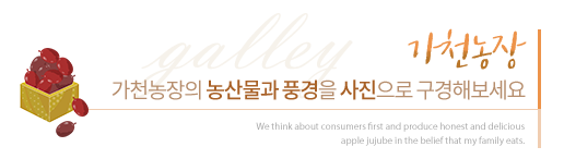 갤러리